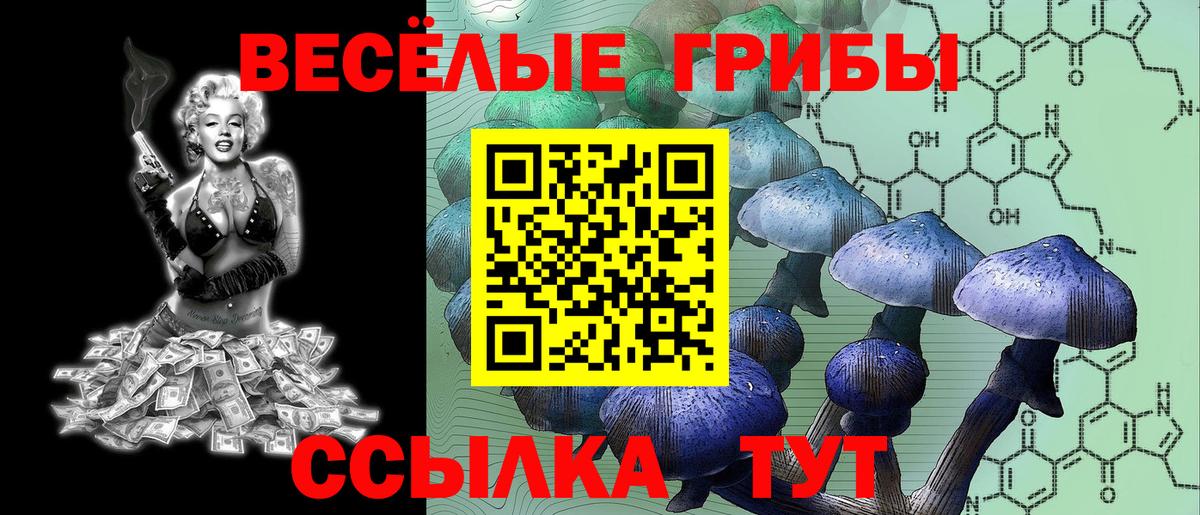 Псилоцибиновые грибы MAGIC MUSHROOMS Урай